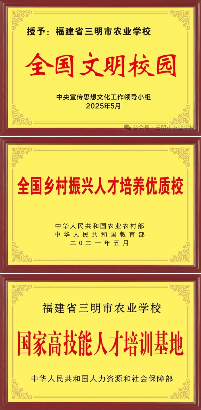 1757577220671518.jpg 9.jpg